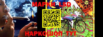 шишки Обь