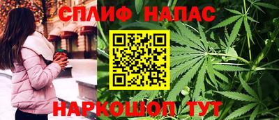 шишки Обь