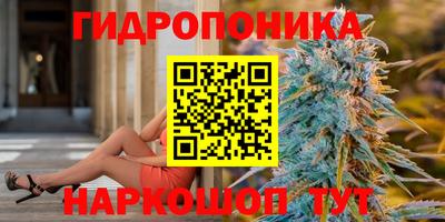 шишки Обь