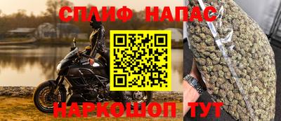 шишки Обь