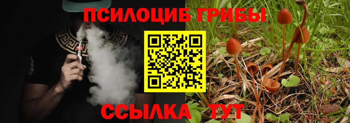 Псилоцибиновые грибы Magic Shrooms  Вход с VPN  Севастополь 